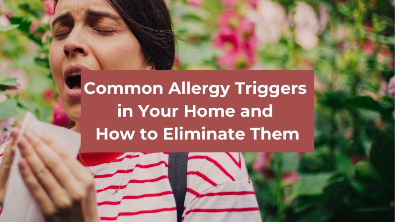 Common Allergy Triggers in Your Home and How to Eliminate Them