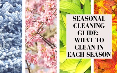 Seasonal Cleaning Guide: What to Clean in Each Season